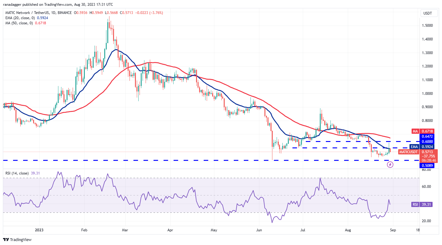 数字货币价格分析 8/30:BTC、ETH、BNB、XRP、ADA、DOGE、SOL、TON、DOT、MATIC插图10 数字货币价格分析 8/30:BTC、ETH、BNB、XRP、ADA、DOGE、SOL、TON、DOT、MATIC