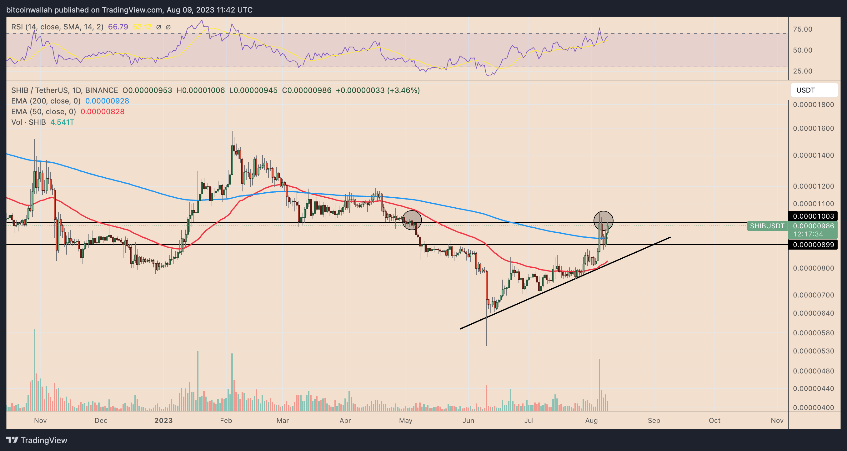 今天柴犬币SHIB为何上涨?插图2 今天柴犬币SHIB为何上涨?