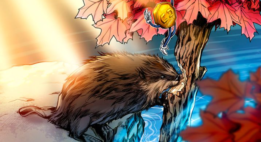 WonderFi首席执行官:加拿大的监管透明度正在将机构带入加密领域插图 WonderFi首席执行官:加拿大的监管透明度正在将机构带入加密领域