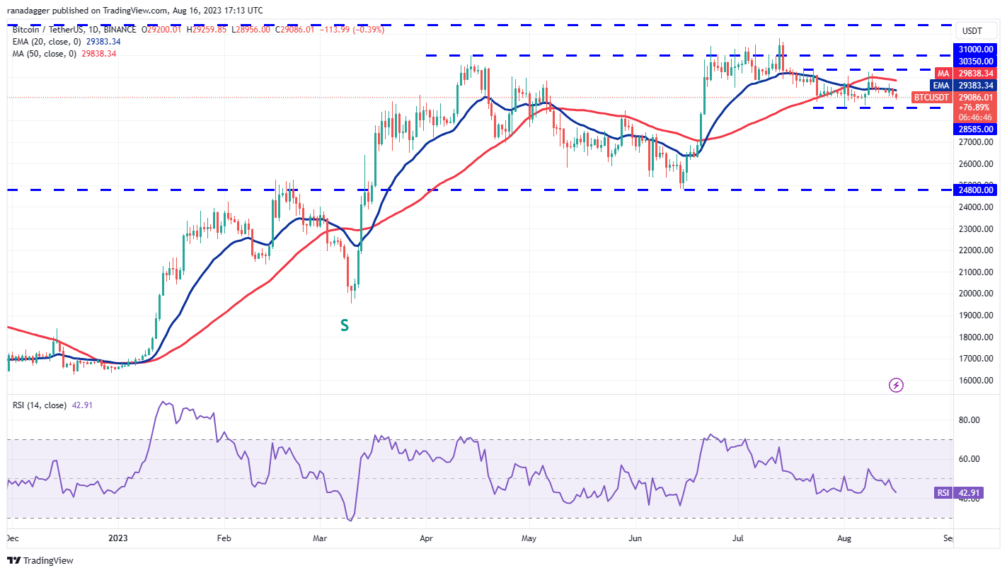 数字货币行情分析 8/16:BTC、ETH、BNB、XRP、DOGE、ADA、SOL、MATIC、LTC、DOT插图1 数字货币行情分析 8/16:BTC、ETH、BNB、XRP、DOGE、ADA、SOL、MATIC、LTC、DOT
