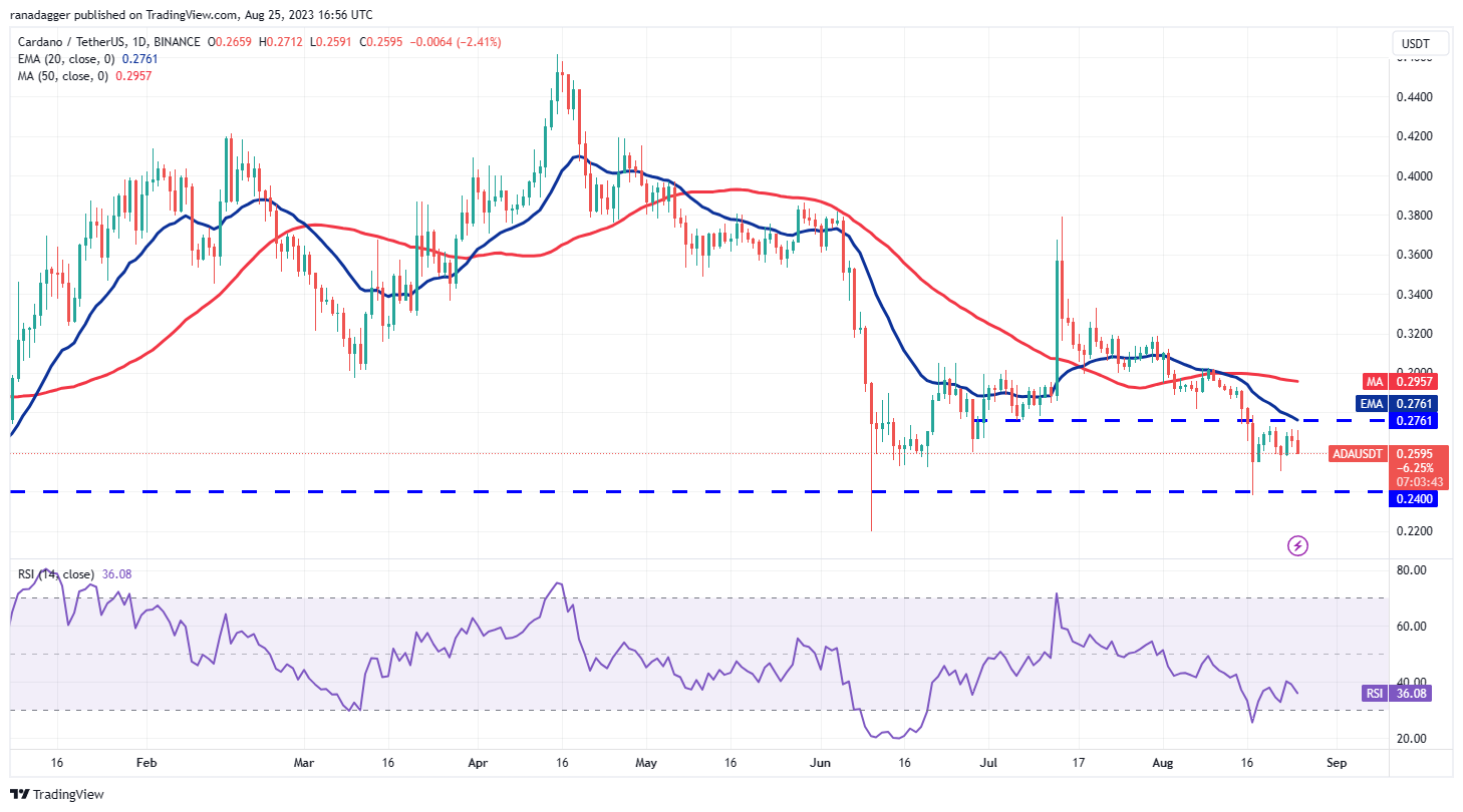 数字货币行情分析 8/25：BTC、ETH、BNB、XRP、ADA、SOL、DOGE、DOT、MATIC、TON