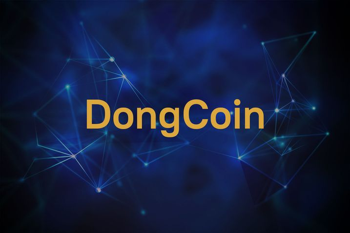 DongCoin解密:深入探究韩国的模因币革命插图 DongCoin解密:深入探究韩国的模因币革命