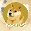 DOGE 2.0币
