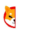 SHIB0.5币