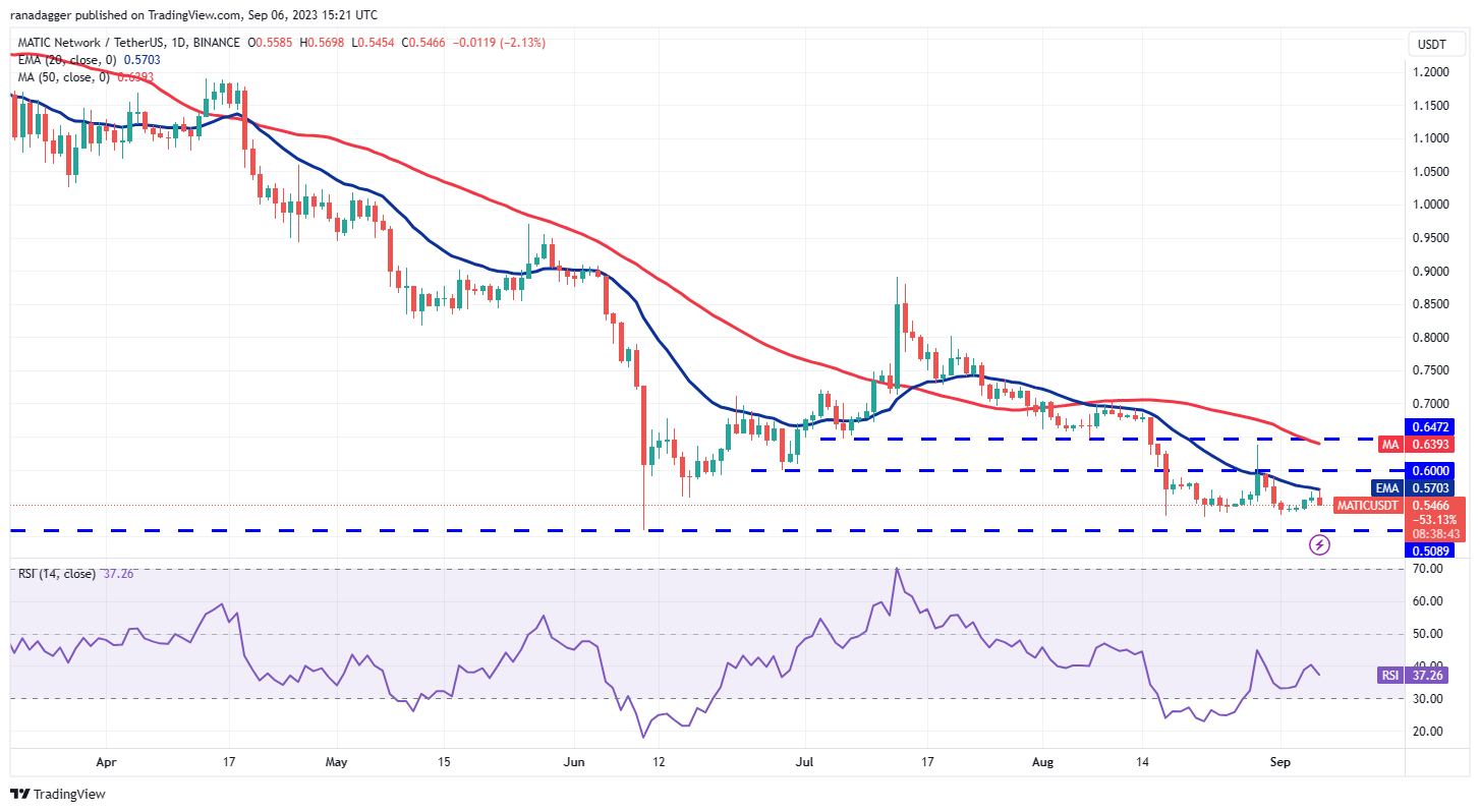 数字货币价格分析9/6:BTC、ETH、BNB、XRP、ADA、DOGE、SOL、TON、DOT、MATIC插图10 数字货币价格分析9/6:BTC、ETH、BNB、XRP、ADA、DOGE、SOL、TON、DOT、MATIC