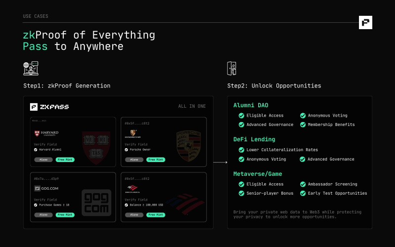 zkPass pre-alpha测试网开放进行公开测试插图 zkPass pre-alpha测试网开放进行公开测试