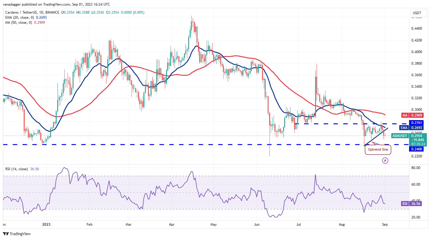 数字货币价格分析9/1:BTC、ETH、BNB、XRP、ADA、DOGE、SOL、TON、DOT、MATIC插图5 数字货币价格分析9/1:BTC、ETH、BNB、XRP、ADA、DOGE、SOL、TON、DOT、MATIC