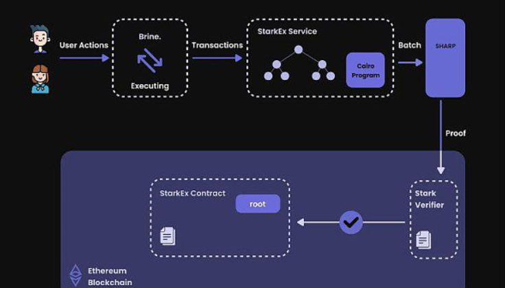 获Pantera投资的Brine.Fi有何特别之处?插图1 获Pantera投资的Brine.Fi有何特别之处?
