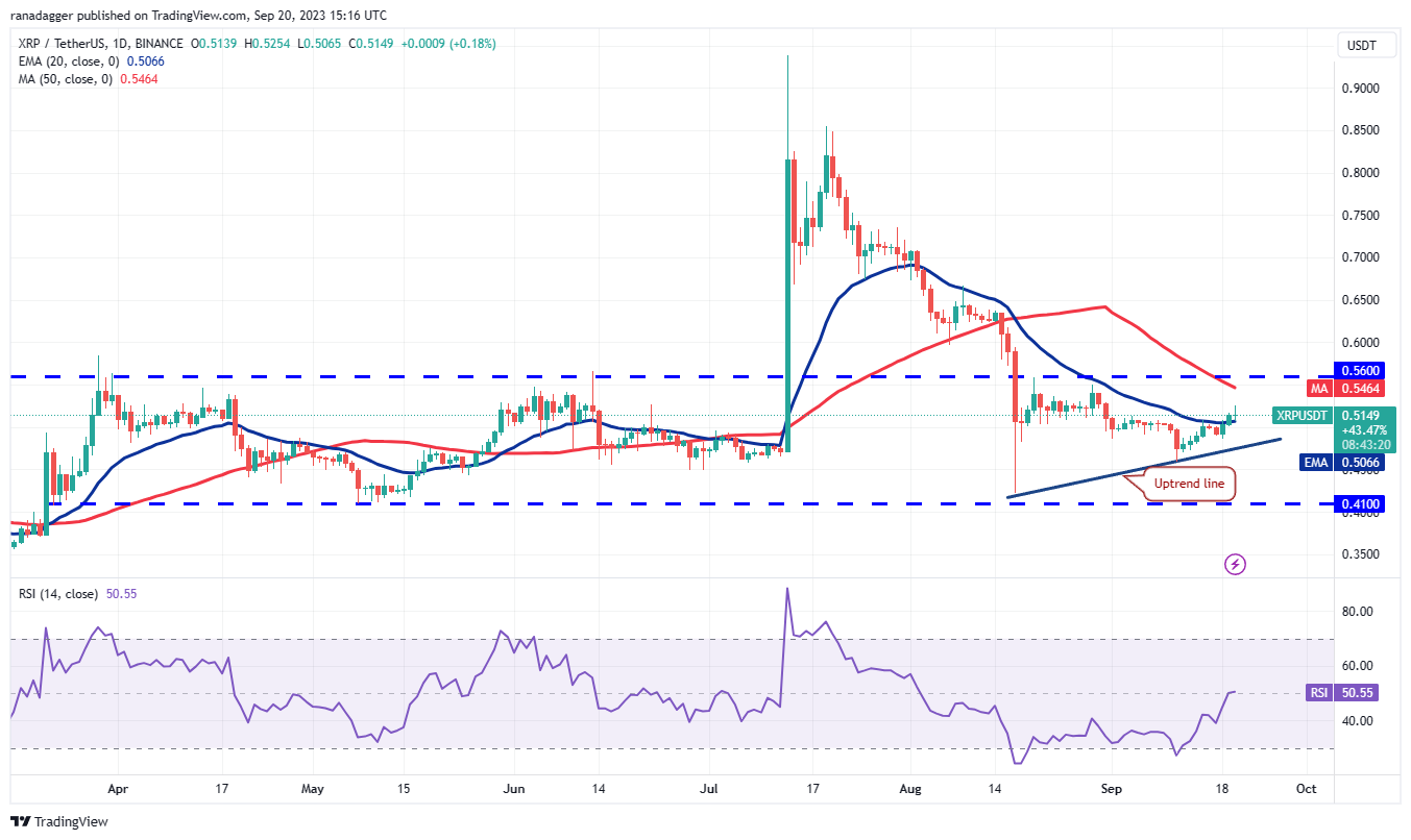 数字货币价格分析9/20:BTC、ETH、BNB、XRP、ADA、DOGE、SOL、TON、DOT、MATIC插图4 数字货币价格分析9/20:BTC、ETH、BNB、XRP、ADA、DOGE、SOL、TON、DOT、MATIC