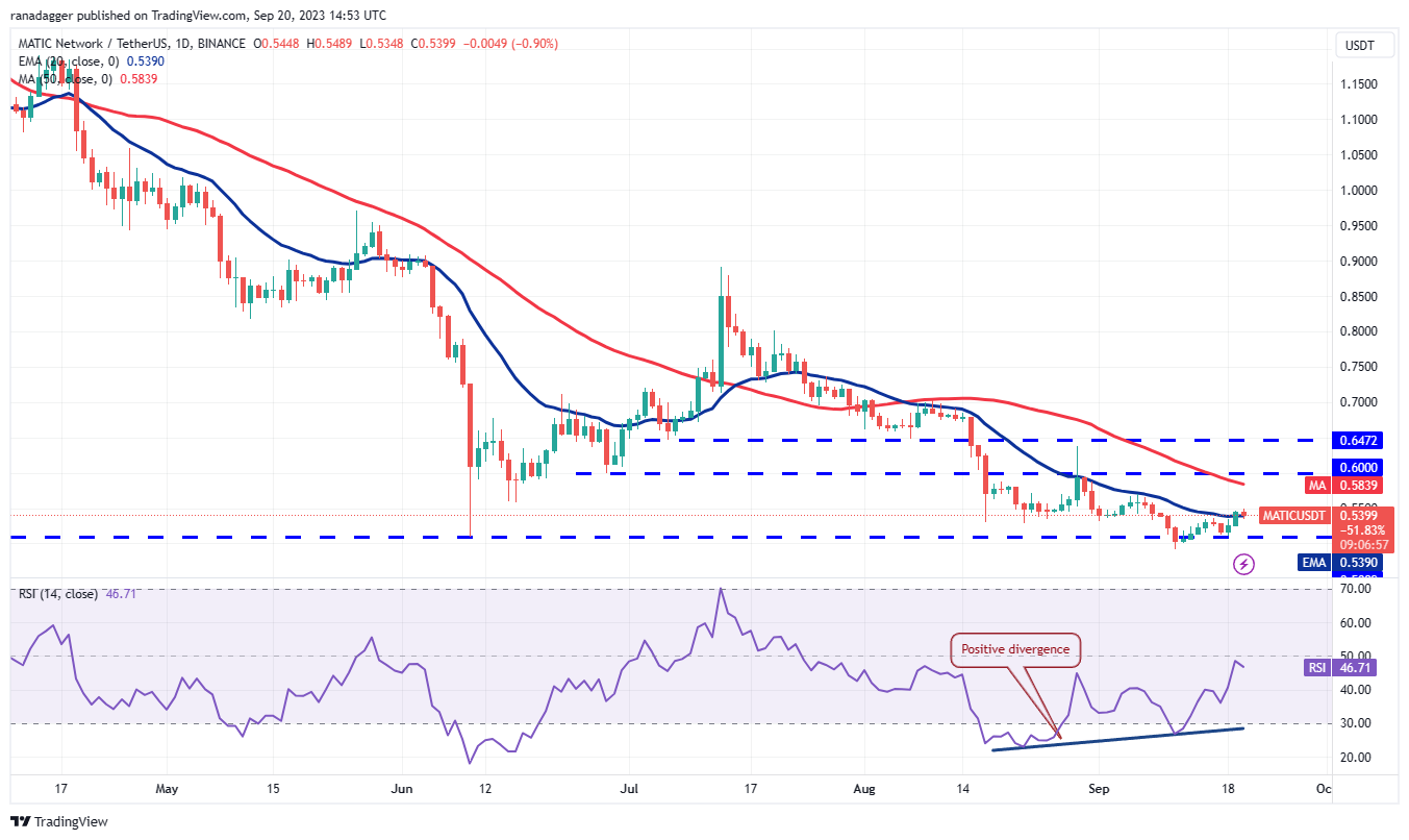数字货币价格分析9/20:BTC、ETH、BNB、XRP、ADA、DOGE、SOL、TON、DOT、MATIC插图10 数字货币价格分析9/20:BTC、ETH、BNB、XRP、ADA、DOGE、SOL、TON、DOT、MATIC