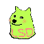 LSDOGE币