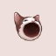 Popcat币