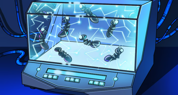 Solana Labs推出Web3孵化器,提供开发和筹款支持插图 Solana Labs推出Web3孵化器,提供开发和筹款支持