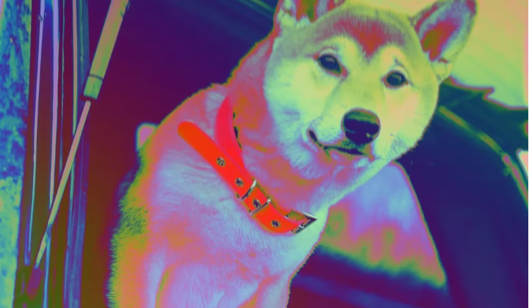 Floki通过新的TokenFi平台突袭价值数万亿美元的RWA故事