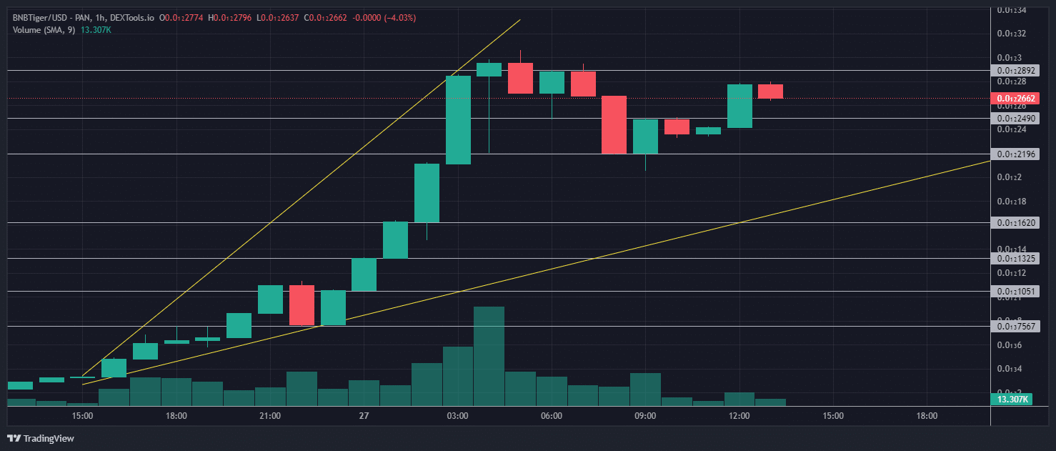 BNBTiger筹集了240万美元投资插图1 BNBTiger筹集了240万美元投资