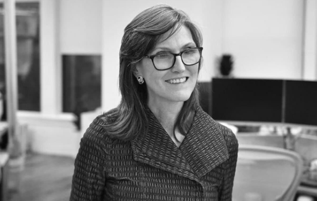 Cathie Wood押注比特币而非黄金和现金作为未来十年的通货紧缩对冲工具插图 Cathie Wood押注比特币而非黄金和现金作为未来十年的通货紧缩对冲工具