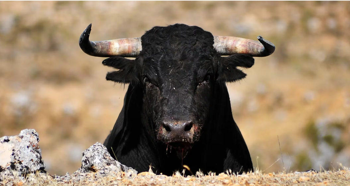 比特币进入加速阶段,到2024年中期可能会达到6.9万美元插图 比特币进入加速阶段,到2024年中期可能会达到6.9万美元