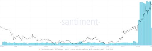 卡尔达诺指标显示ADA价格为牛市做好准备插图1 卡尔达诺指标显示ADA价格为牛市做好准备