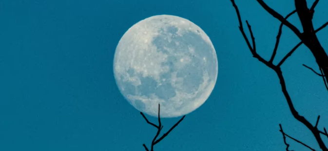 Reddit代币MOON在复兴的希望中飙升150%插图 Reddit代币MOON在复兴的希望中飙升150%