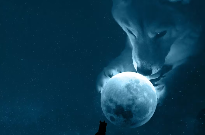 实体狗狗币将在12月抵达月球插图 实体狗狗币将在12月抵达月球