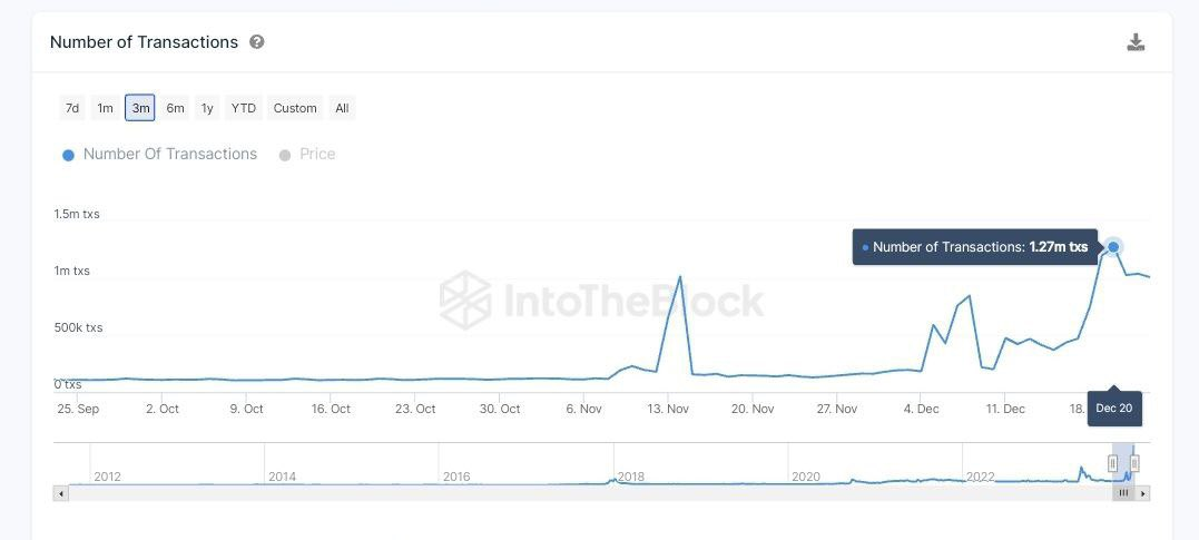 狗狗币现在拥有530万持有者插图1 狗狗币现在拥有530万持有者