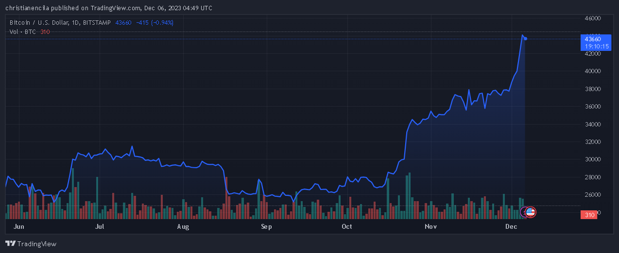 比特币热潮：5000万个地址标志着采用率增长20%