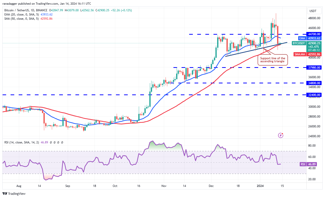 现货ETF获批后,比特币价格暴跌,但ICP、TIA、MNT、SEI和山寨币反弹插图1 现货ETF获批后,比特币价格暴跌,但ICP、TIA、MNT、SEI和山寨币反弹