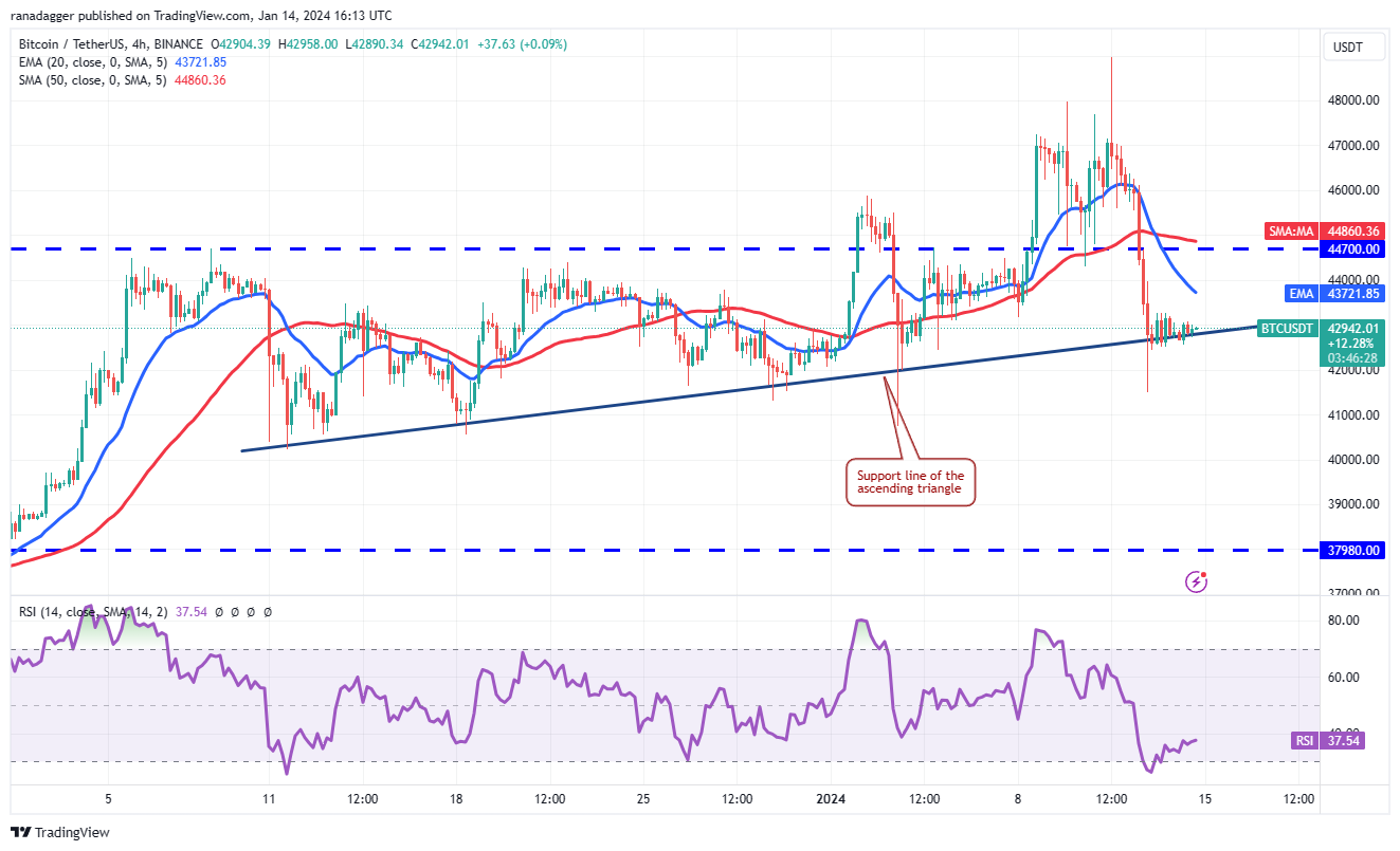 现货ETF获批后,比特币价格暴跌,但ICP、TIA、MNT、SEI和山寨币反弹插图2 现货ETF获批后,比特币价格暴跌,但ICP、TIA、MNT、SEI和山寨币反弹