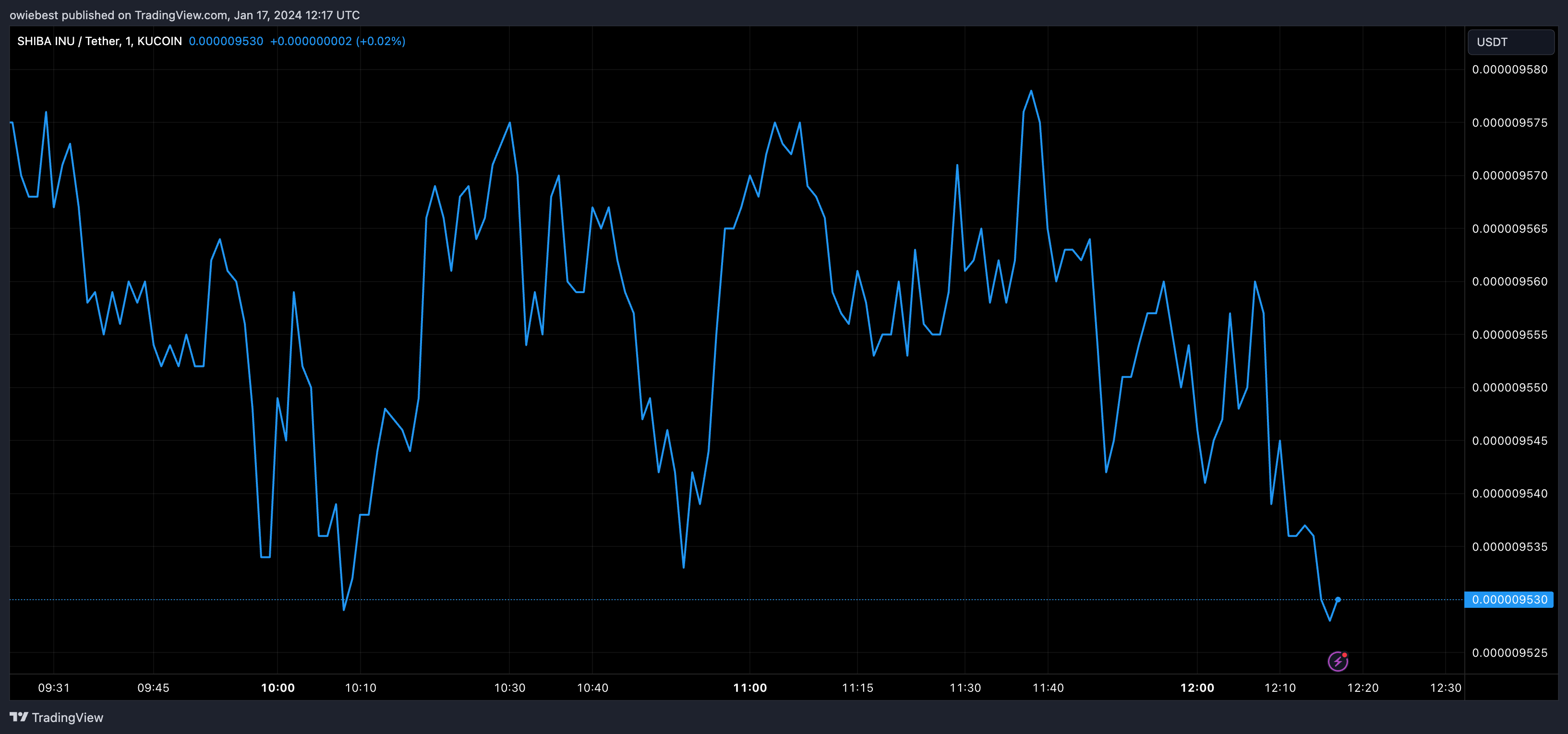 Shiba Inu首席开发人员公布了SHIB名称服务的抢先体验插图 Shiba Inu首席开发人员公布了SHIB名称服务的抢先体验