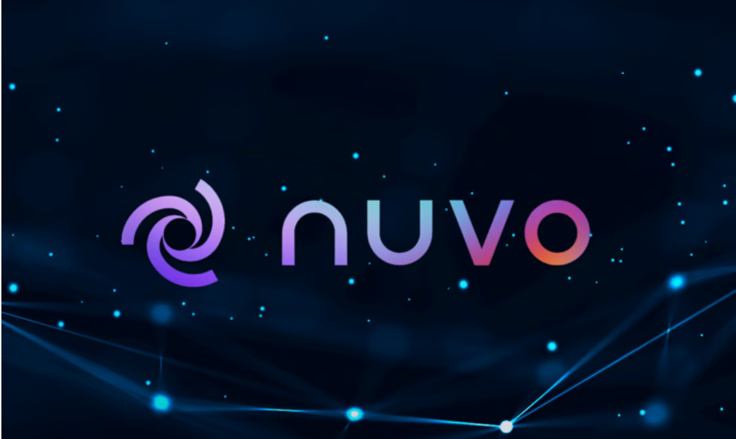 Nuvo推出Nuscription:彻底改变区块链交易插图 Nuvo推出Nuscription:彻底改变区块链交易