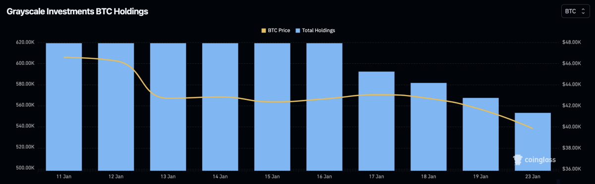 九只新的现货比特币ETF在7天的交易中积累了超过100000BTC插图1 九只新的现货比特币ETF在7天的交易中积累了超过100000BTC