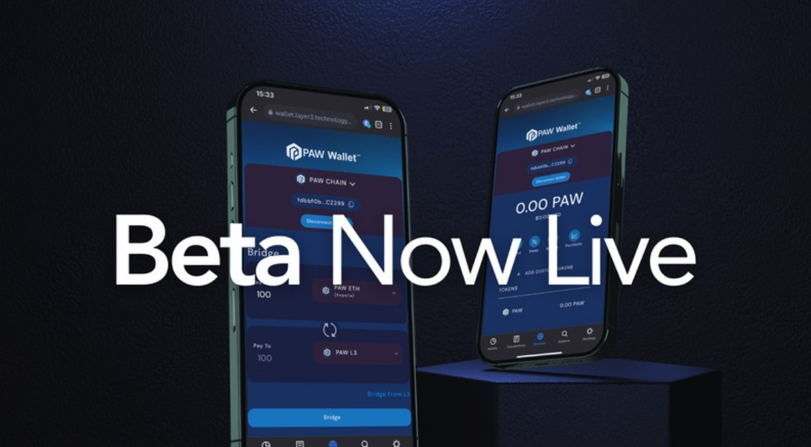 PAW Chain:区块链互操作性的未来插图 PAW Chain:区块链互操作性的未来