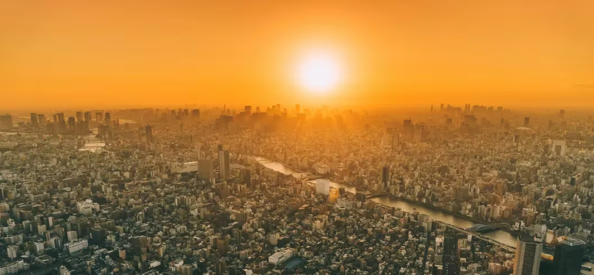 比特币ETF和加密货币单独管理账户:RIAs需要了解什么?插图 比特币ETF和加密货币单独管理账户:RIAs需要了解什么?