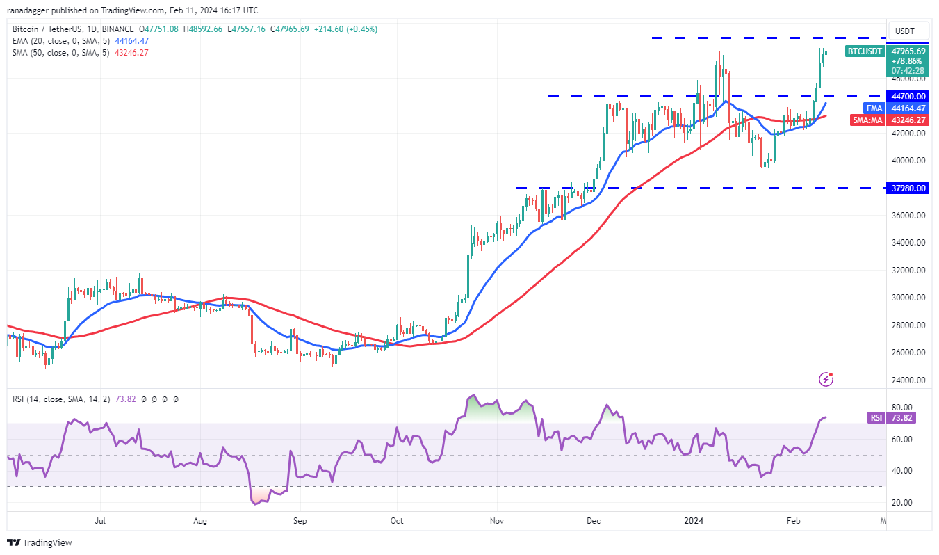 比特币行情逼近5万美元,为IMX、KAS、TIA和 STX打开上涨大门插图1 比特币行情逼近5万美元,为IMX、KAS、TIA和 STX打开上涨大门