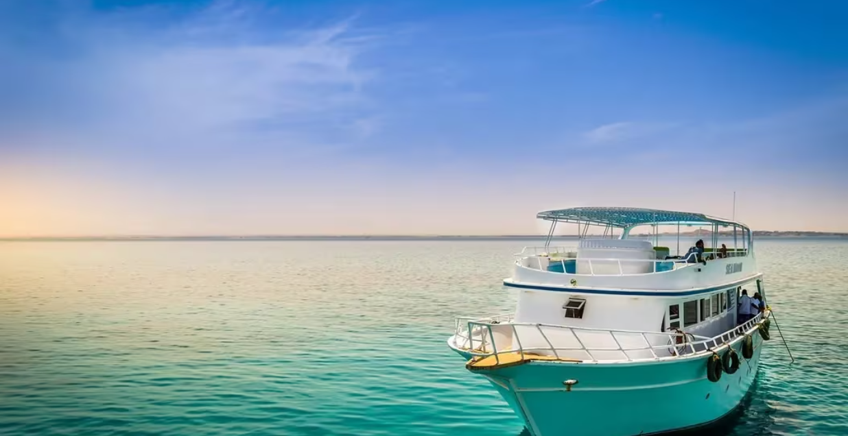 Web3游戏公司Saltwater筹集550万美元种子资金插图 Web3游戏公司Saltwater筹集550万美元种子资金