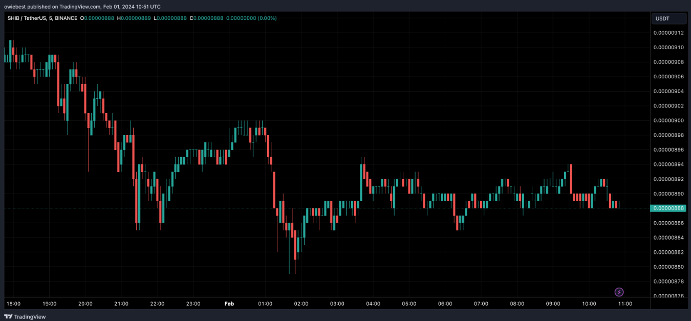 加密货币分析师预测柴犬币价格将历史性飙升122000%插图 加密货币分析师预测柴犬币价格将历史性飙升122000%