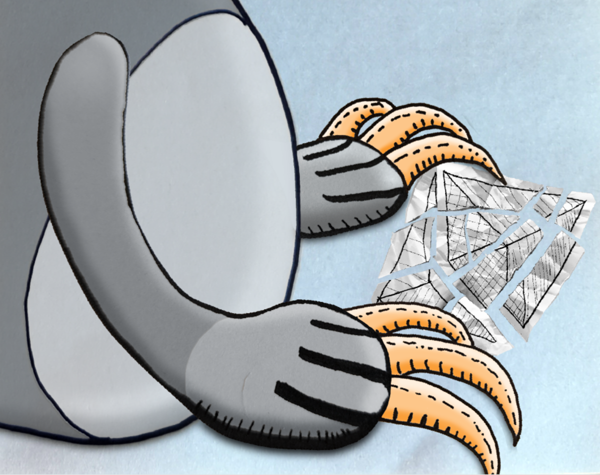 ORDINALS与LAYER 2元协议第2部分:最终对决?插图6 ORDINALS与LAYER 2元协议第2部分:最终对决?