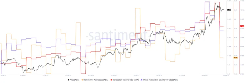 Charles Hoskinson解决了卡尔达诺新钱包的问题插图1 Charles Hoskinson解决了卡尔达诺新钱包的问题