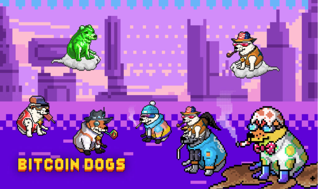 全球首个比特币区块链ICO进入最后7天倒计时插图 全球首个比特币区块链ICO进入最后7天倒计时