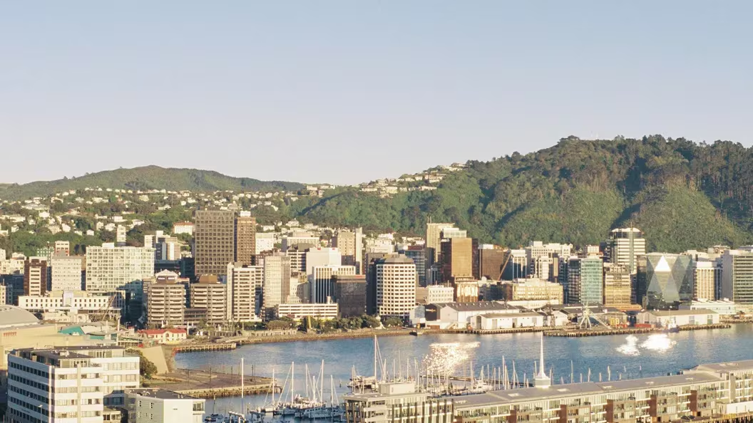 破产的Cryptopia交易所将向一些债权人返还加密货币插图 破产的Cryptopia交易所将向一些债权人返还加密货币