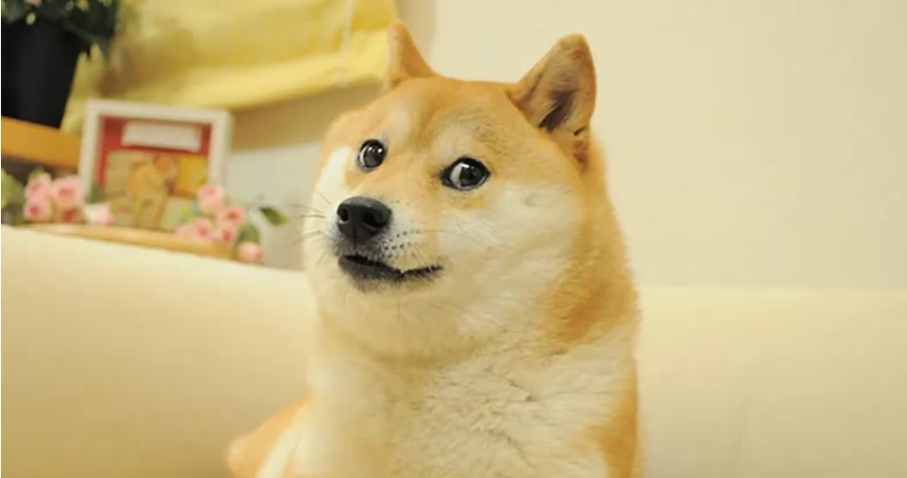 MEME币与网络增长密切相关插图 MEME币与网络增长密切相关