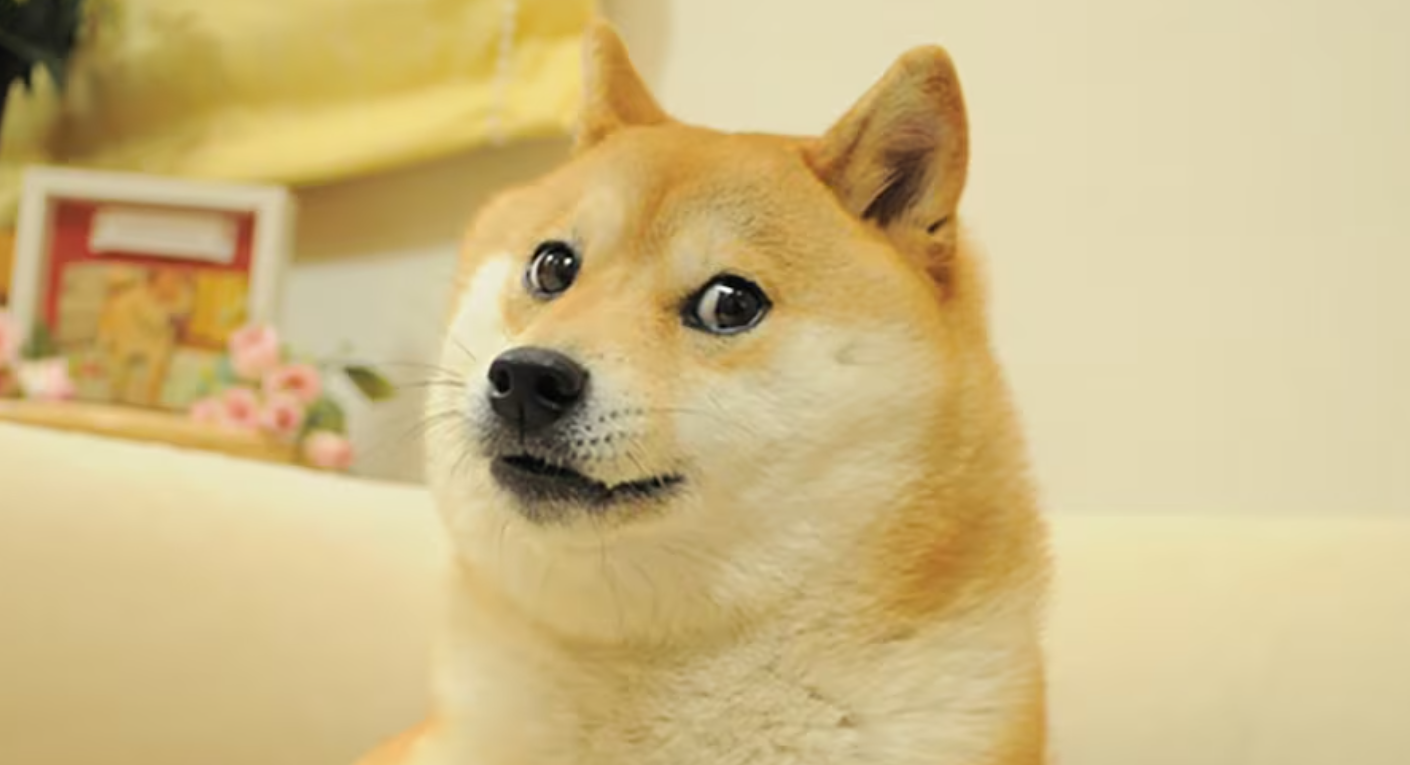 MEME币变得合法对于最糟糕的事情