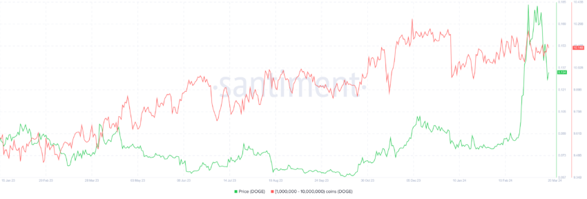为什么狗狗币(DOGE)比柴犬币(SHIB)更好?插图1 为什么狗狗币(DOGE)比柴犬币(SHIB)更好?