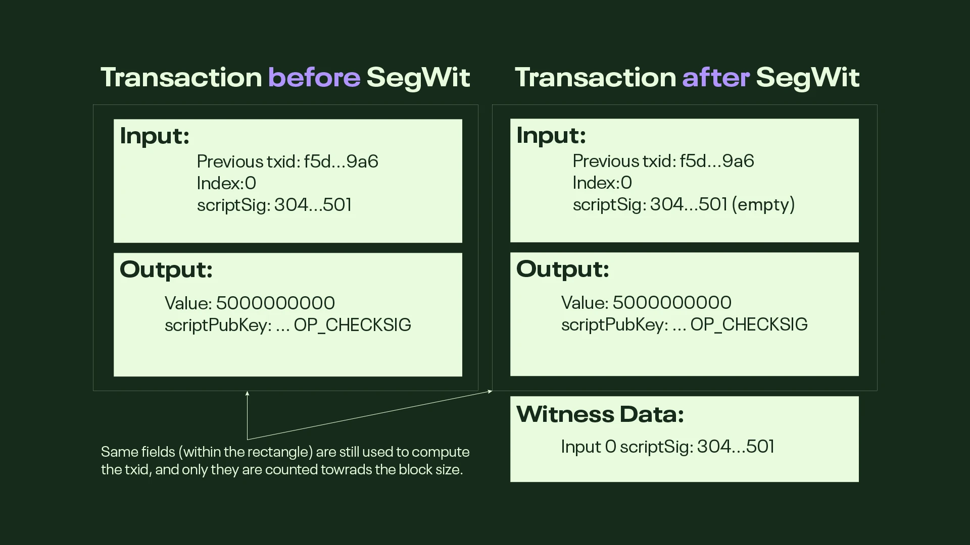 第1层和第2层区块链扩展解决方案解释插图2 第1层和第2层区块链扩展解决方案解释