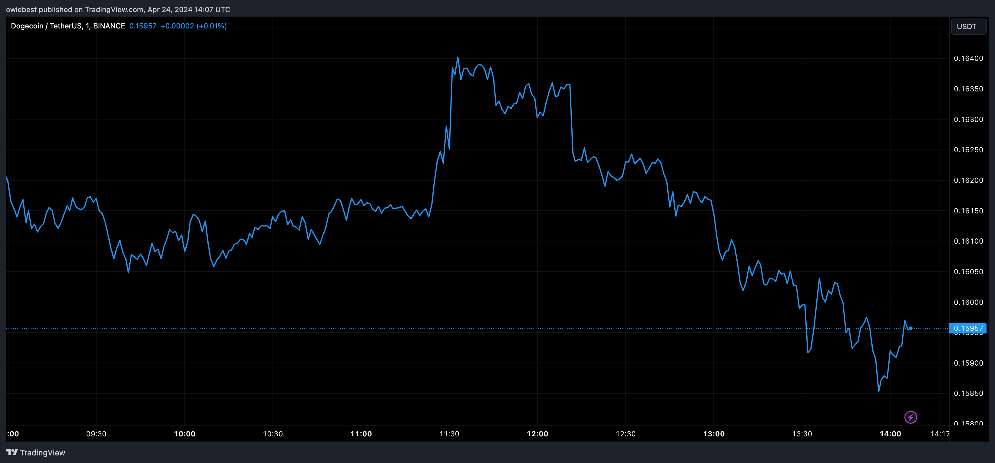 分析师称狗狗币价格达到1美元是小概率事件插图 分析师称狗狗币价格达到1美元是小概率事件