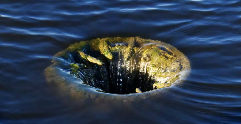 ARK 21Shares比特币ETF流出额达8800万美元，首次超过Grayscale