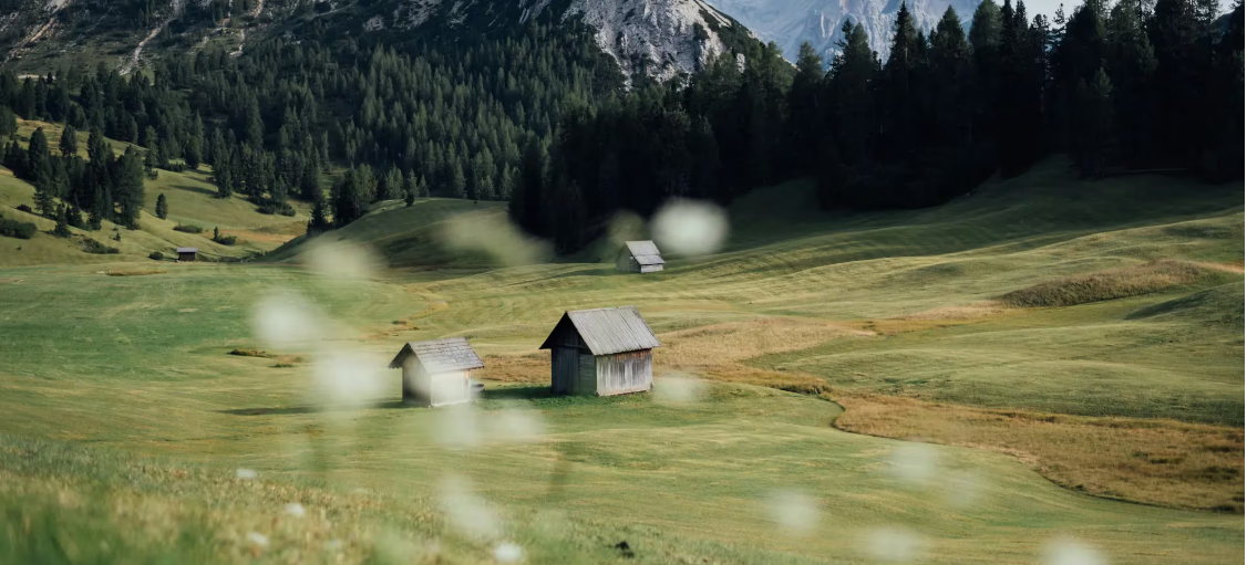 减半影响和宏观变化为比特币创造顺风