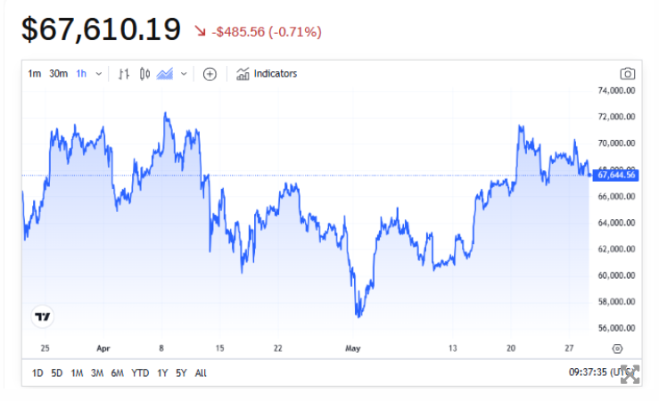 长期比特币持有者自去年12月以来首次重新囤币