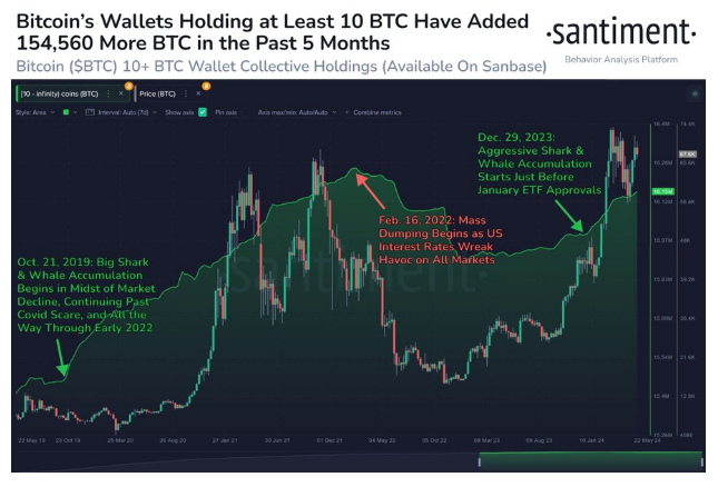 比特币中大型投资者开始进入市场插图 比特币中大型投资者开始进入市场