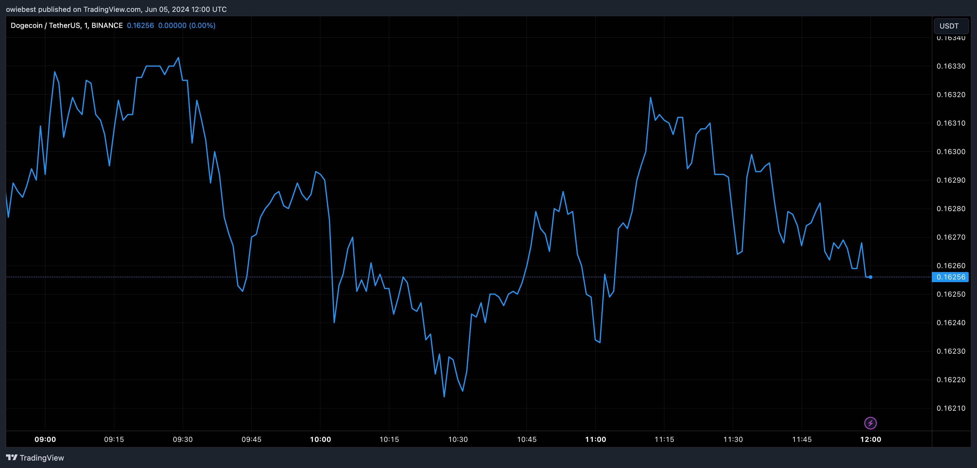 为什么狗狗币和柴犬币价格今天上涨?插图 为什么狗狗币和柴犬币价格今天上涨?